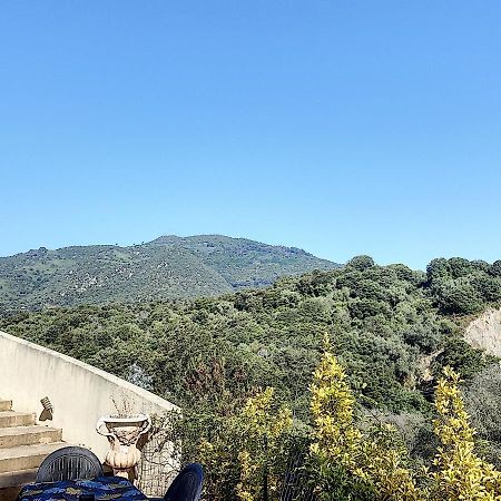 Grand Appartement Spacieux A 5 Min Du Centre Ville Ajaccio  Exterior photo